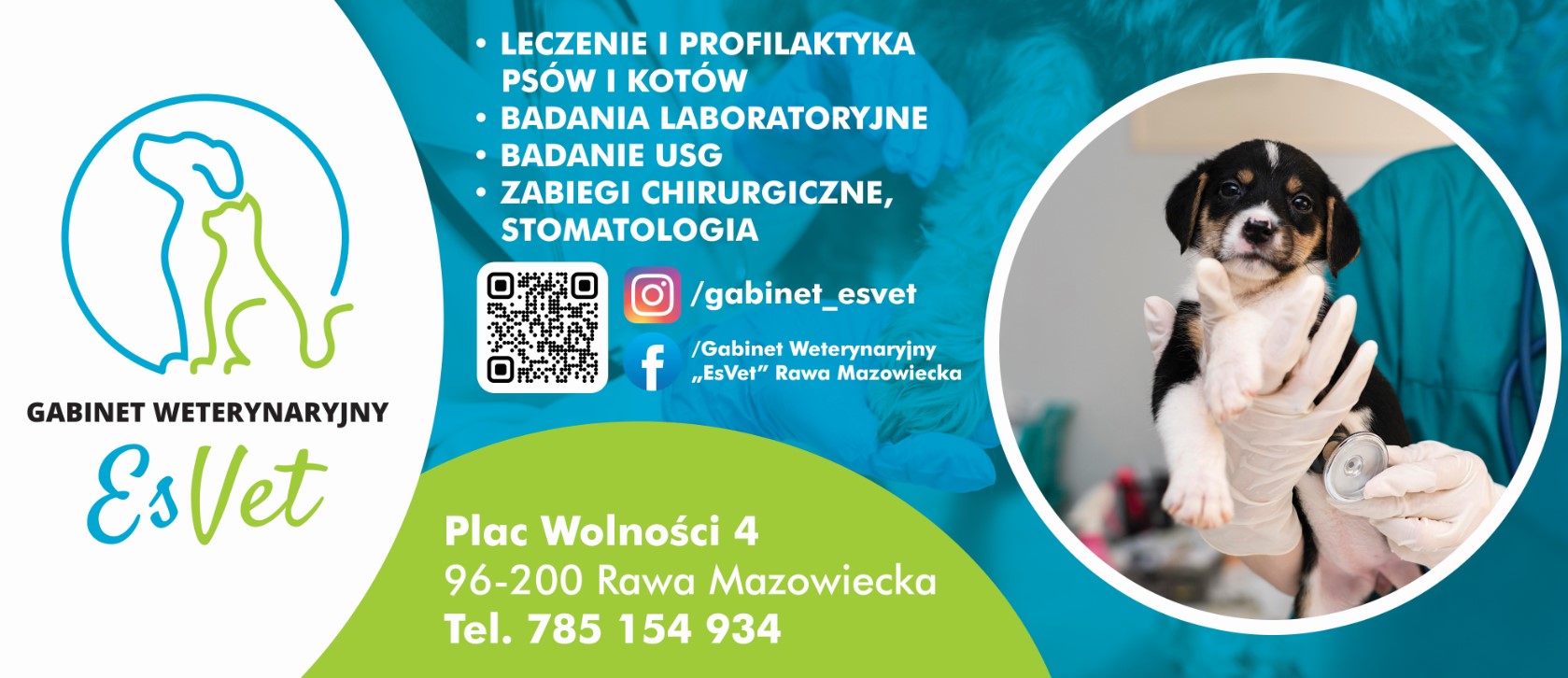 Gabinet Weterynaryjny ``EsVet`` Justyna Szczepaniak-Wrzodak - psy i koty RAWA MAZOWIECKA psy i koty RAWA MAZOWIECKA